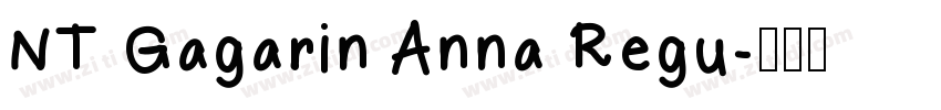NT Gagarin Anna Regu字体转换